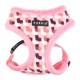 PETTORINA PUPPIA ARDEN HARNESS A