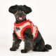 PETTORINA PUPPIA CHERYL HARNESS B