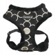 PETTORINA PUPPIA FLORENT HARNESS A