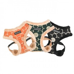PETTORINA PUPPIA FLORENT HARNESS A