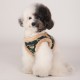 PETTORINA PUPPIA FLORENT HARNESS B