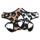 PETTORINA PUPPIA Serval HARNESS A