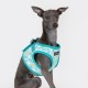 Pettorina Fete Harness B