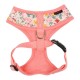 Pettorina Lita Harness A