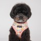 Pettorina Lita Harness B