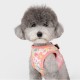 PETTORINA PINKAHOLIC EVANTHE HARNESS B