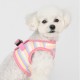 PETTORINA PINKAHOLIC MAIRE HARNESS B
