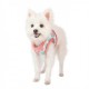 Pettorina Heather Vest