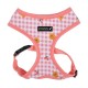 Pettorina Baba Harness A