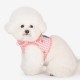 Pettorina Baba Harness B