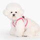 Pettorina Annabelle Vest Harness