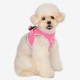 Pettorina Emma Vest Harness