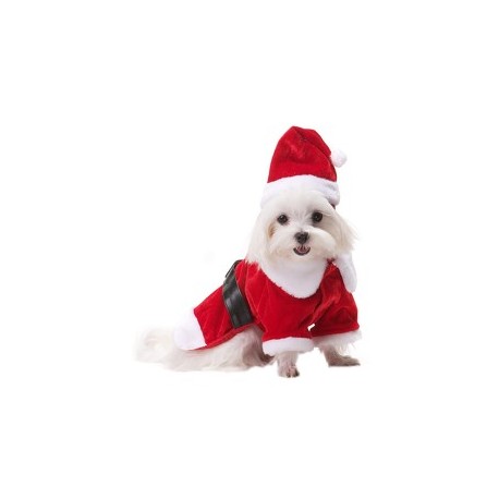 Santa Paws Dress 