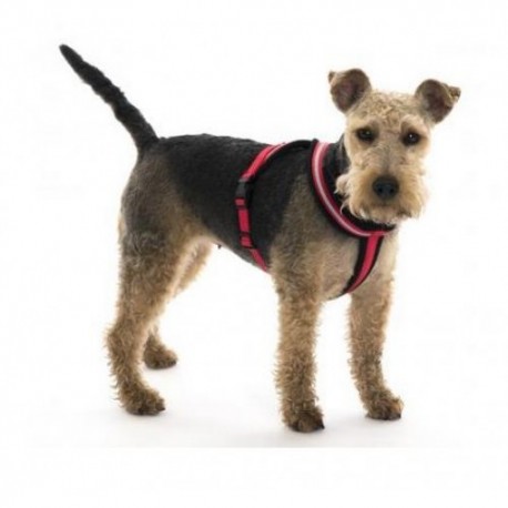 Comfy Harness