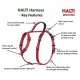 HALTI Walking Harness Blue