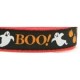 BOO! Cat Harness and Lead Set
