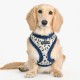 Pettorina Puppia Huxley Harness A