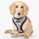 Pettorina Puppia Huxley Harness A