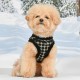 Pettorina Puppia Jace Harness B