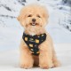 Pettorina Puppia Stefan Harness C