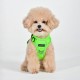 Pettorina Neon Harness H