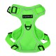 Pettorina Neon Harness H