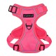 Pettorina Neon Harness H