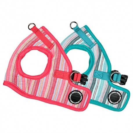 Pettorina Theros Harness B