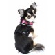 PINK SKULL HARNESS VEST