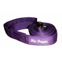 Purple Leash
