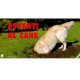 Cartello Attenti Al Cane In Forex - Fotografico 1