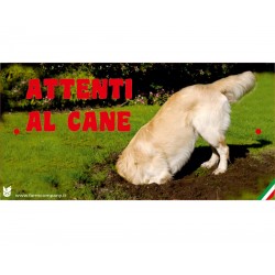 Cartello Attenti Al Cane In Forex - Fotografico 1