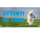 Cartello Attenti Al Cane In Forex - Fotografico 2