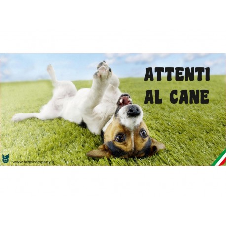 Cartello Attenti Al Cane In Forex - Fotografico 3