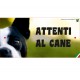 Cartello Attenti Al Cane In Forex - Fotografico 4