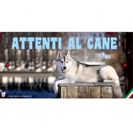 Cartello Attenti Al Cane In Forex - Fotografico 6