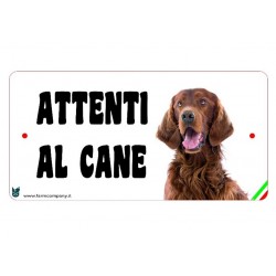 Cartello Attenti Al Cane In Forex - Setter Irlandese