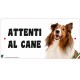 Cartello Attenti Al Cane In Forex - Collie
