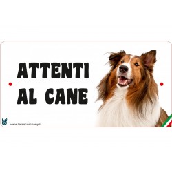 Cartello Attenti Al Cane In Forex - Collie