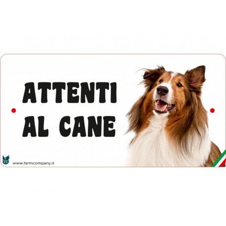 Cartello Attenti Al Cane In Forex - Collie
