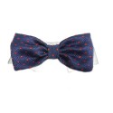 Andrew Bow Tie 