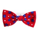 Charlie Bow Tie 