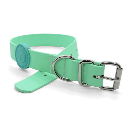 Collare waterproof CARIBBEAN GREEN