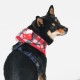 Pettorina Puppia Festive Harness A