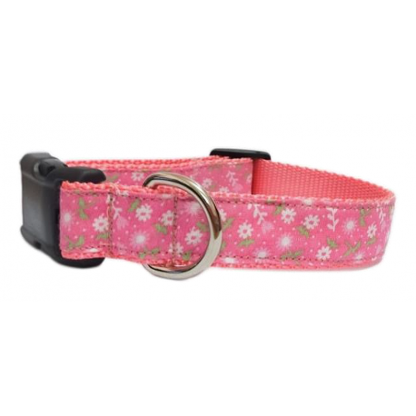 Collare Pink Ditsy Floral