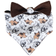 Bandana Bully