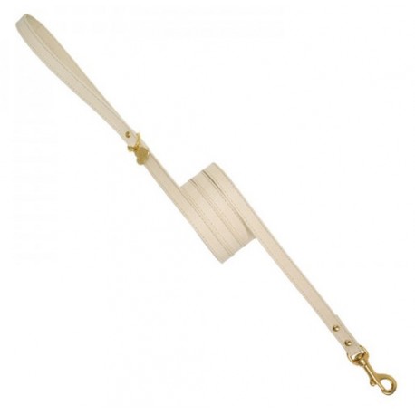 Plain Leash Cream Suede/Gold