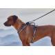 Pettorina in nylon secur-fit triplo aggancio nylon Deluxe reflect