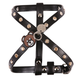 Pettorina Teddy Bear