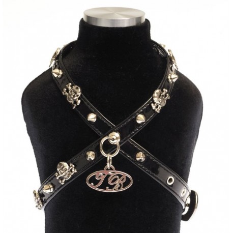 Pettorina Malo Borchia